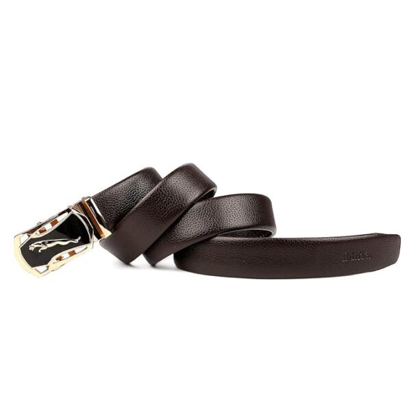 Edifier PU leather, one pack Fashion Waist Strap Belts with Adjustable Buckles for Both Formal and Casual Wear - Belt for Boys and Men, Multicolored Design for Everyday Use - Image 2